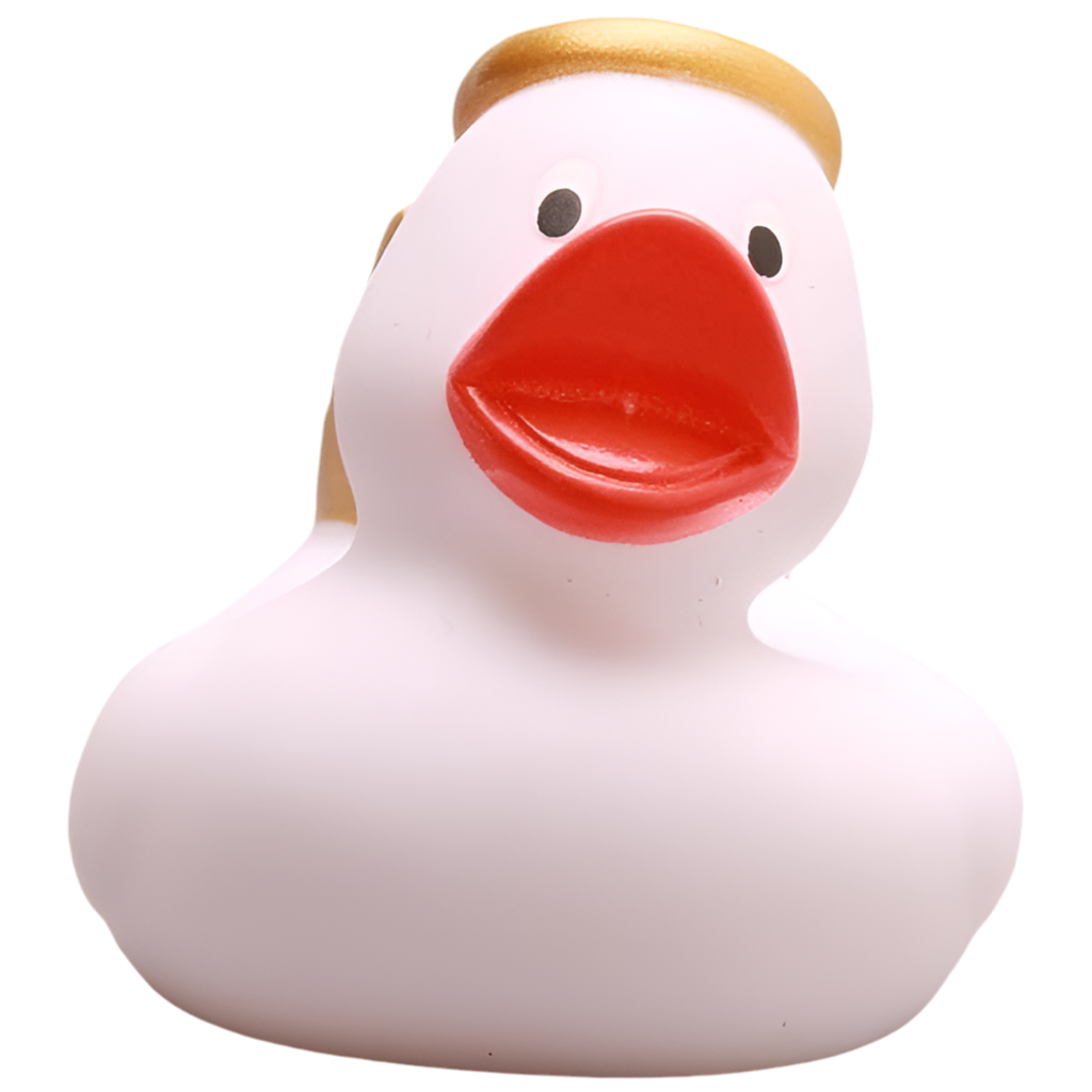 canard ange blanc
