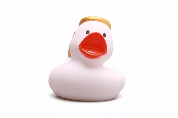 Witte Engel Eend