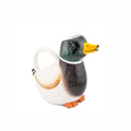 Arrosoir Canard Colvert
