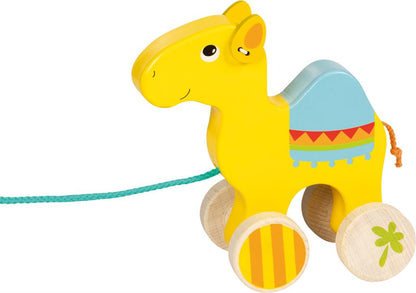 Trekdier - Dromedaris