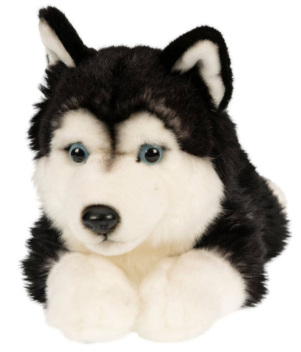 Peluche husky noir couché Uni Toys
