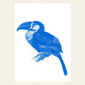 Carte postale Toucan Bleu