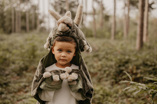 Déguisement Enfant Dino - Wild & Soft