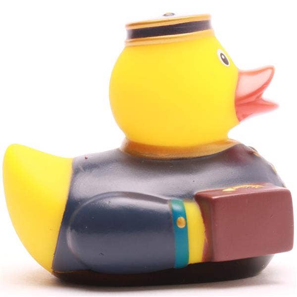 Blue Groom Duck
