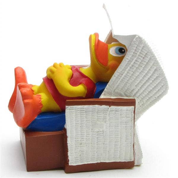 Duck Beach Chair