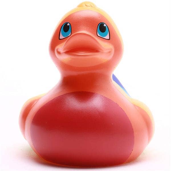 Rainbow Duck
