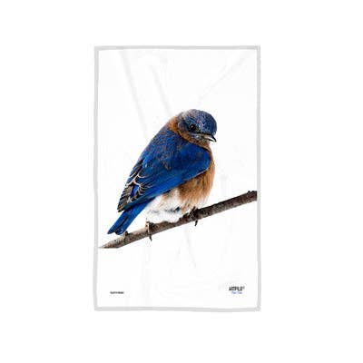 Eastern Bluebird Torchon