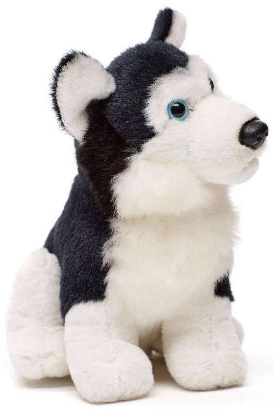 Black Husky plush sitting