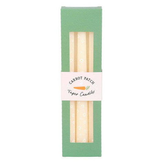 Set of 3 tapered candles Carrot Patch White Daisy