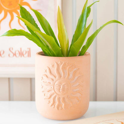 Terracotta plant pot Sun