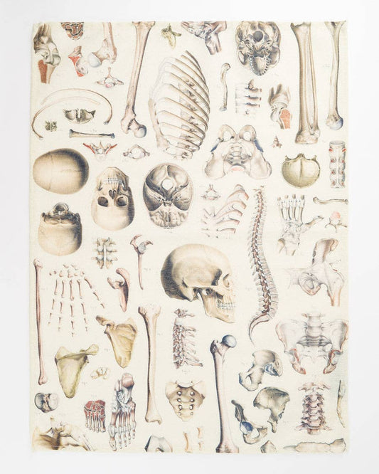 Torchon Squelette – produit scientifique Cognitive Surplus EU, vue 1