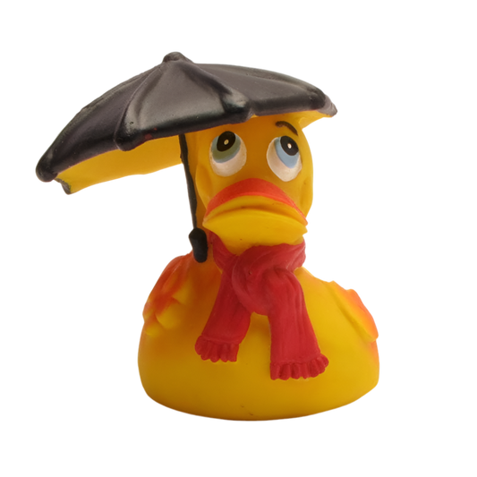 Canard Temps de Pluie