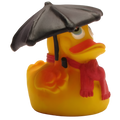 Eend Regenachtig weer