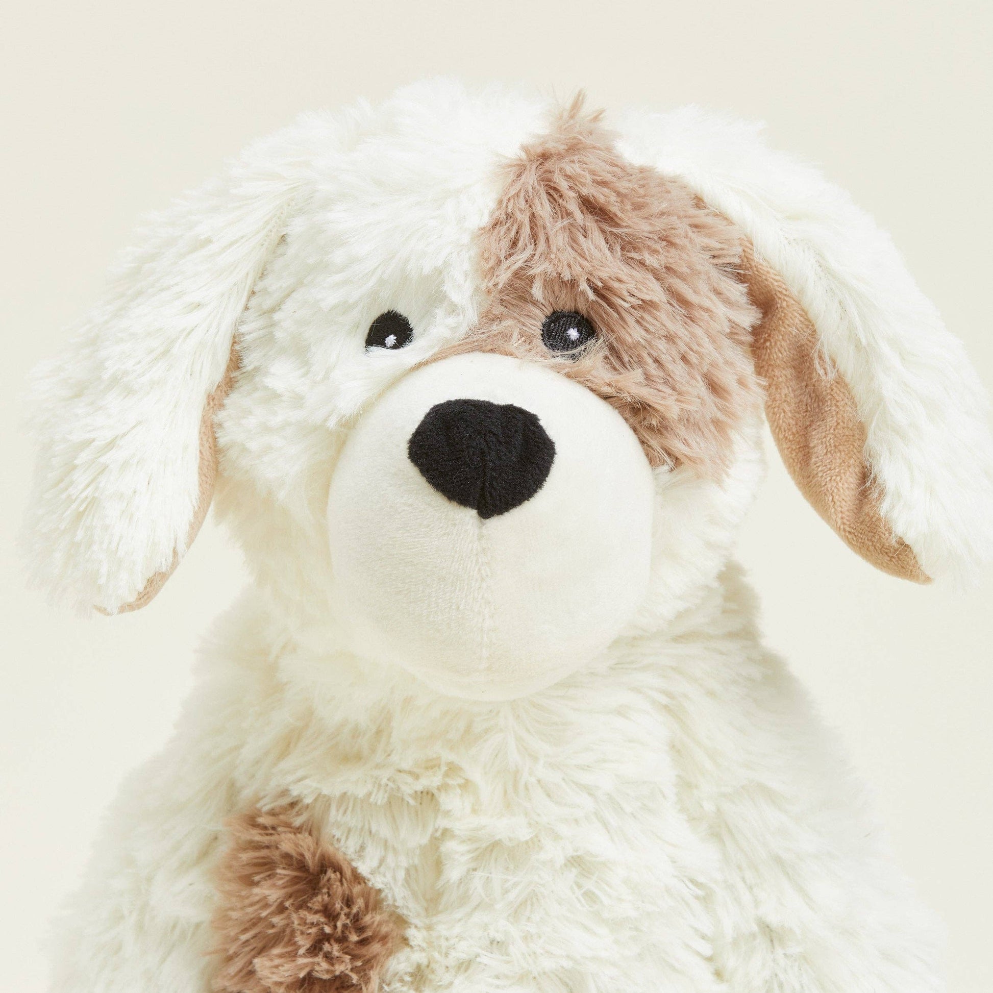 Chien bouillotte Warmies