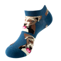 Pitbull korte sokken