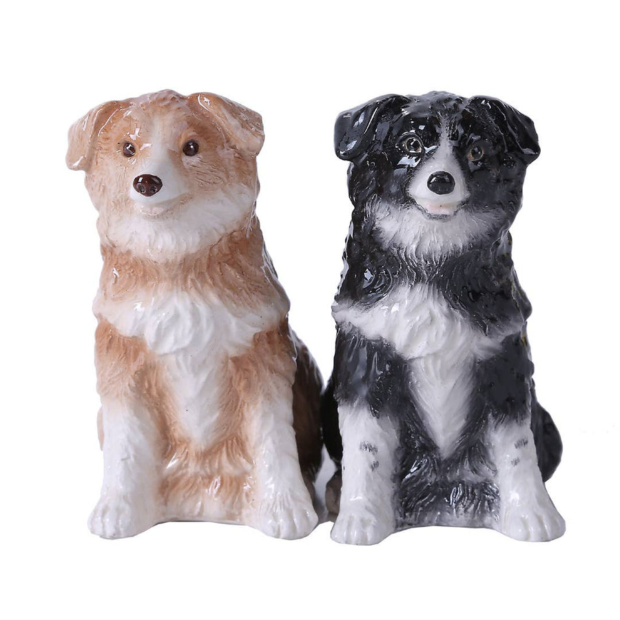 Bordercollie