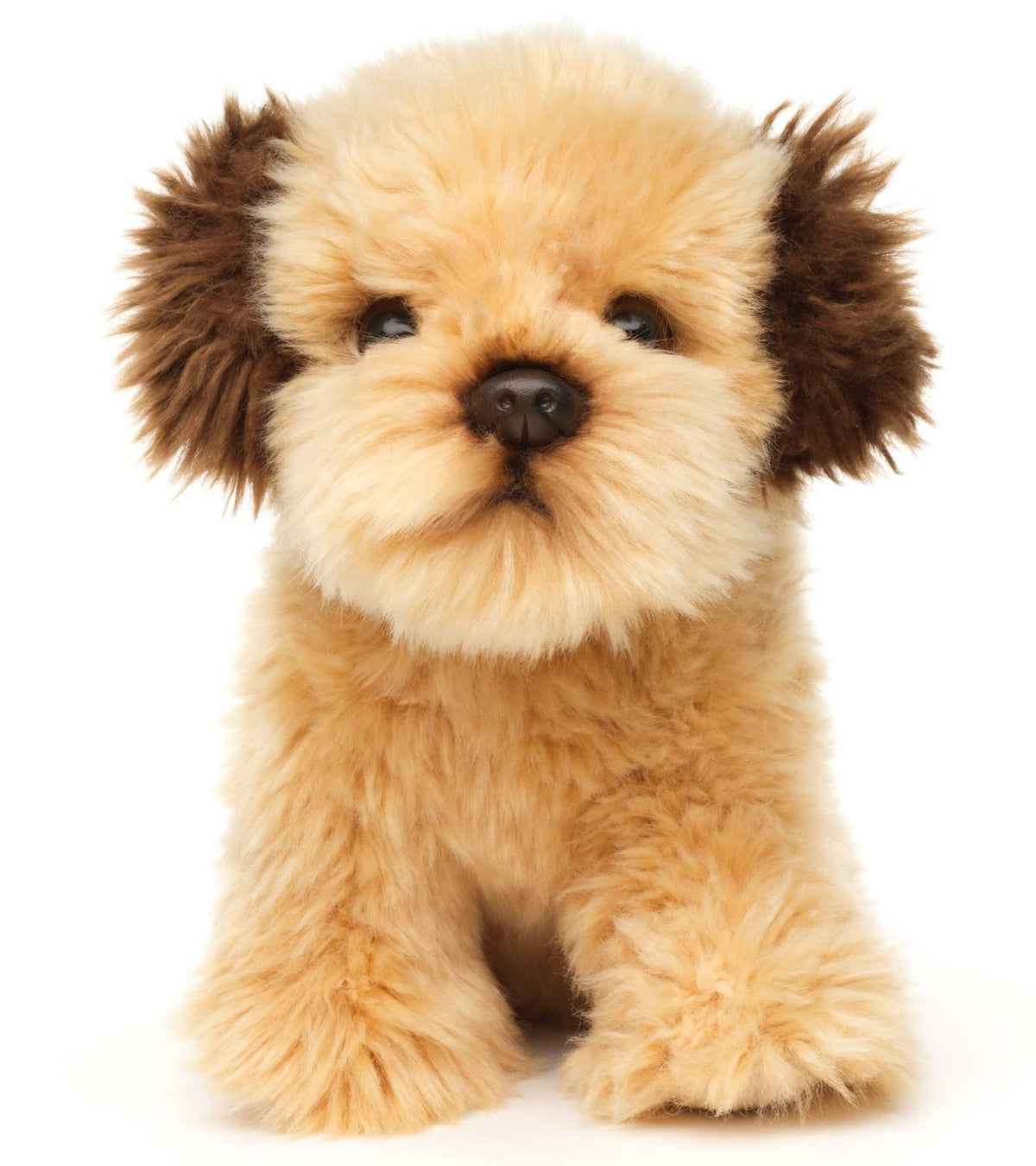 Plush shih tzu doodle sitting