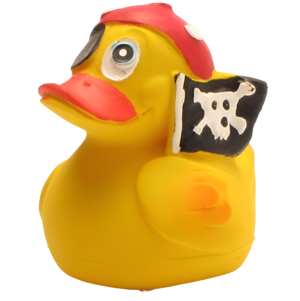 Pirate Duck
