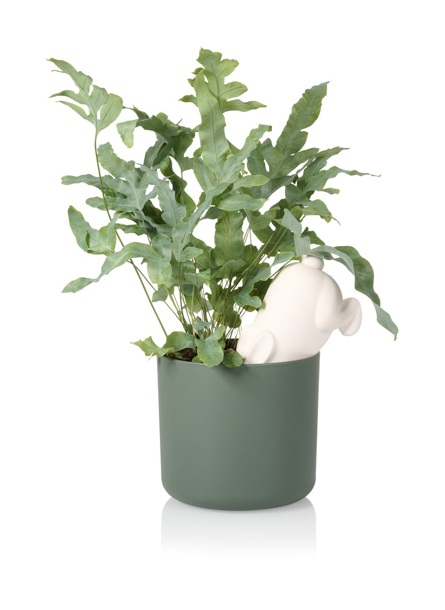 arroseur autonome lapin bunny bitten