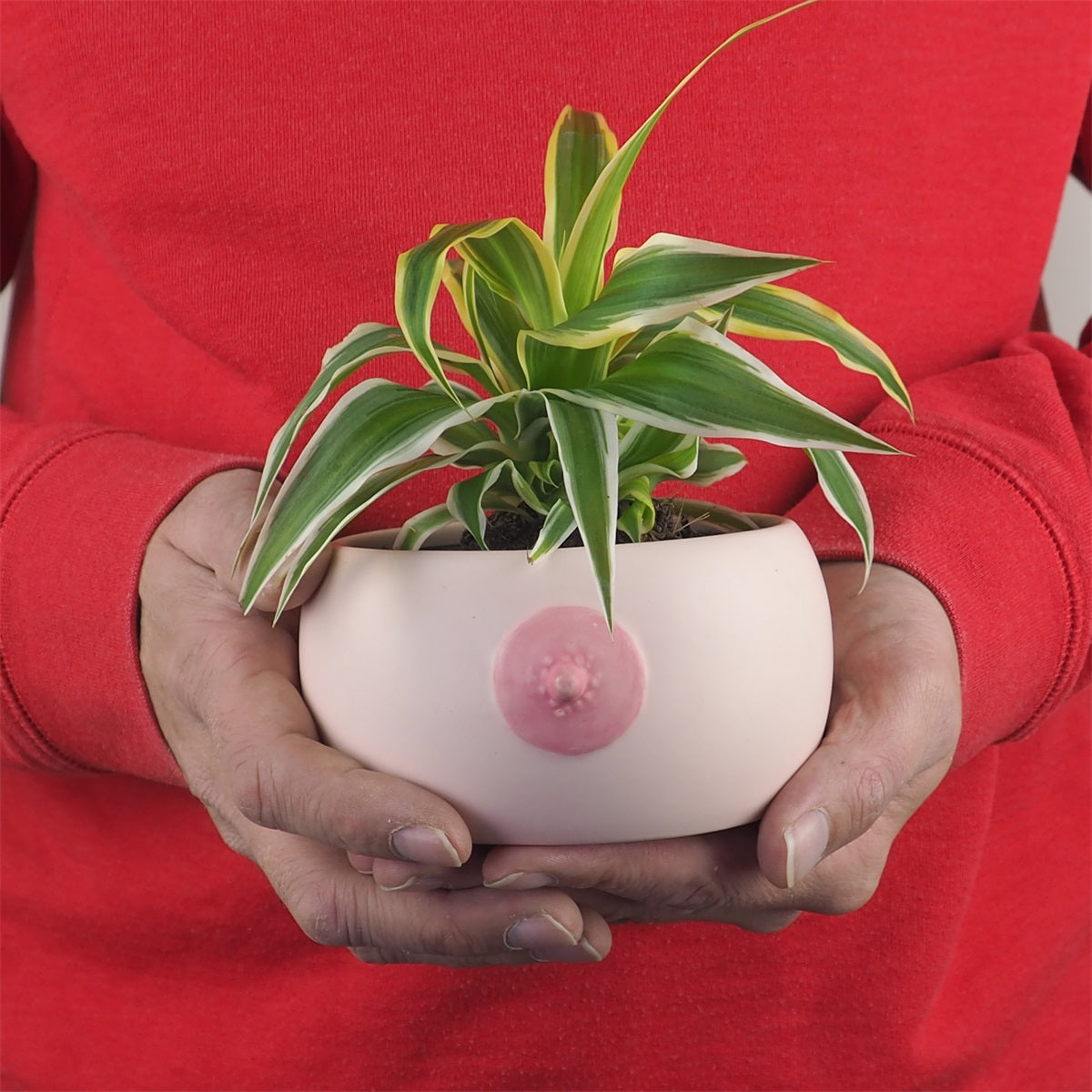 Breast Bowl