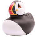 Papegaaiduikers
