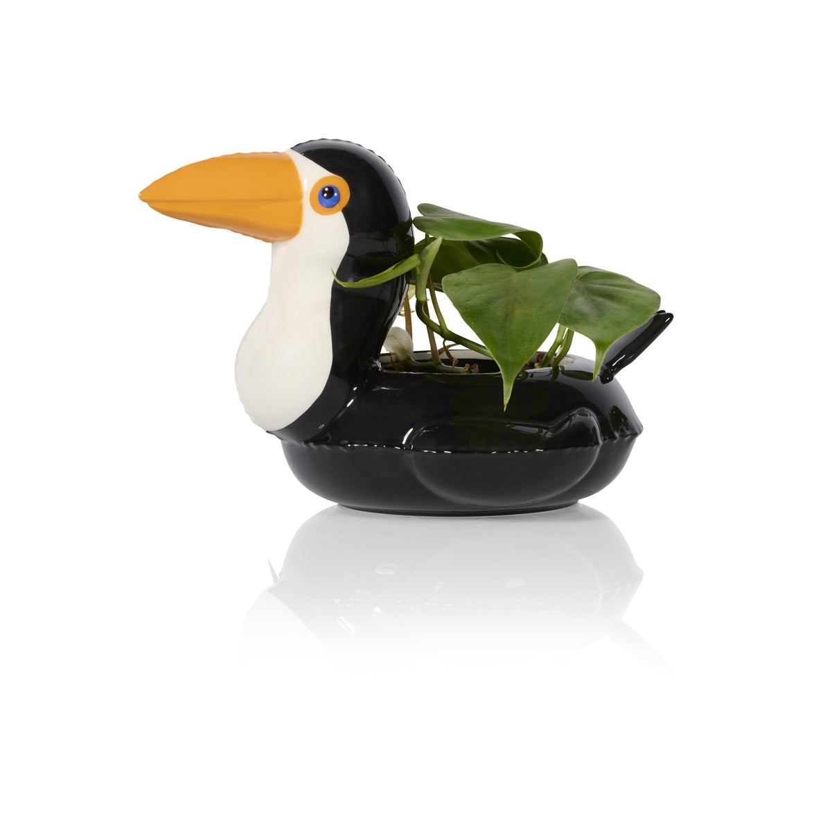 pot toucan flottant bitten