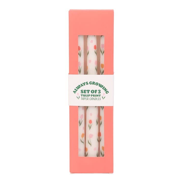 Ensemble de 3 Bougies Effilées à Motif de Tulipes