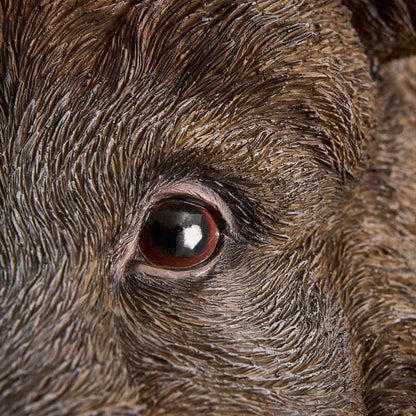 Willy the Wild Boar wall light, brown polyurethane resin