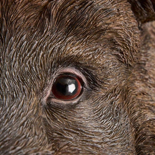 Willy het Wilde Zwijn wandlamp, bruine polyurethaanhars