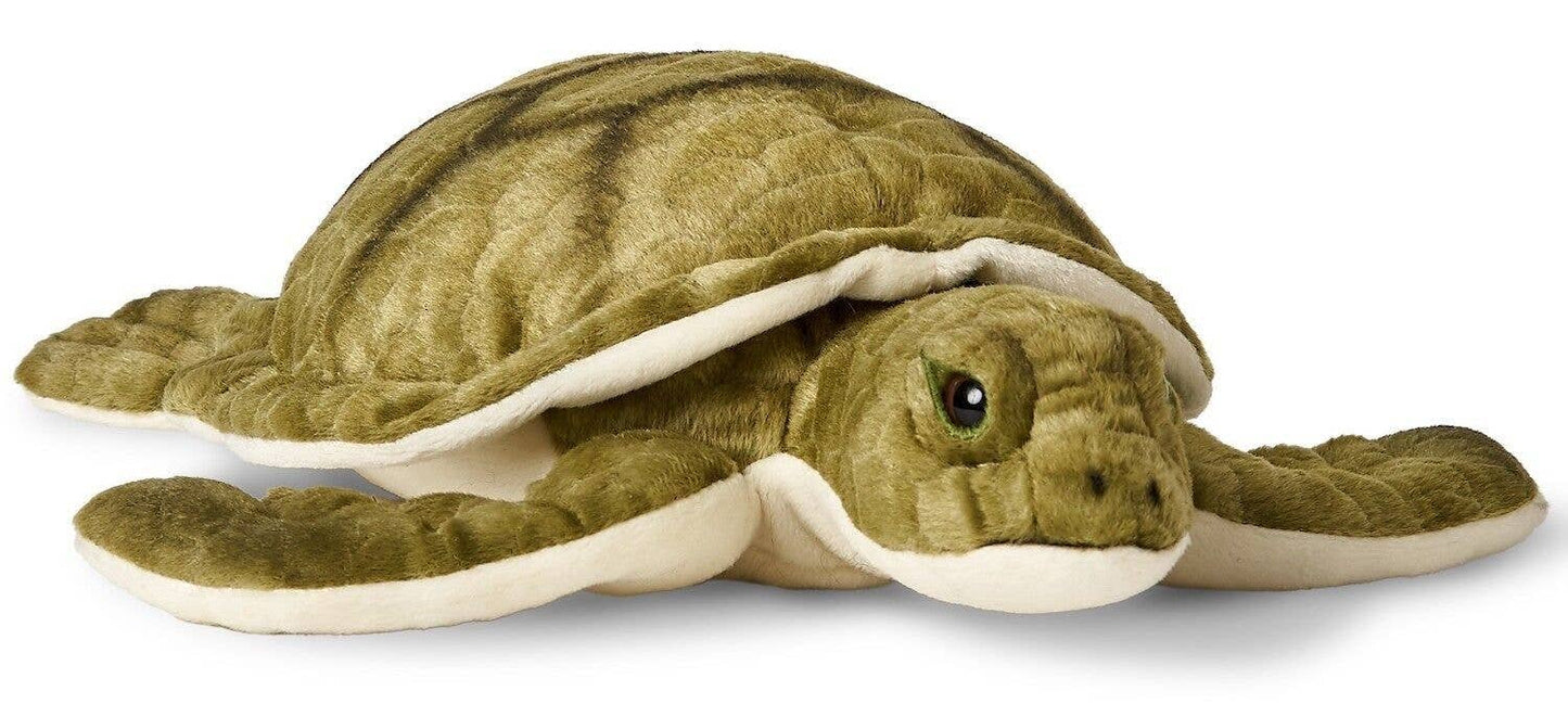Peluche Tortue de mer verte