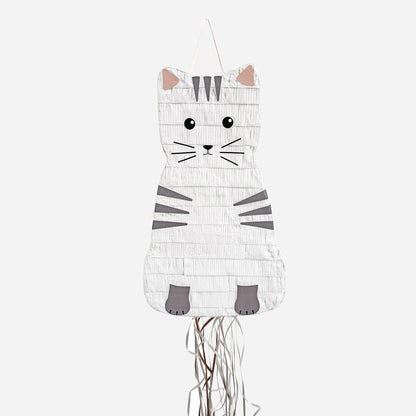 Cat pinata