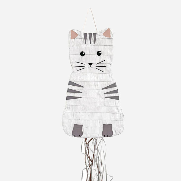 Kattenpiñata