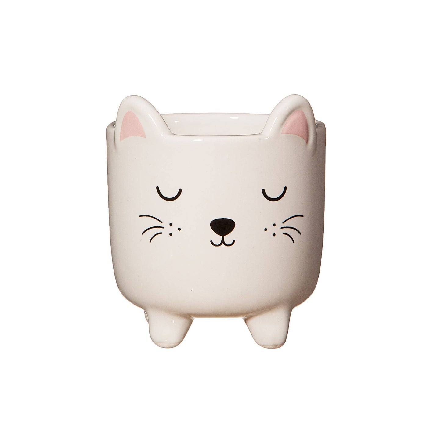 Mini cat flower pot with legs