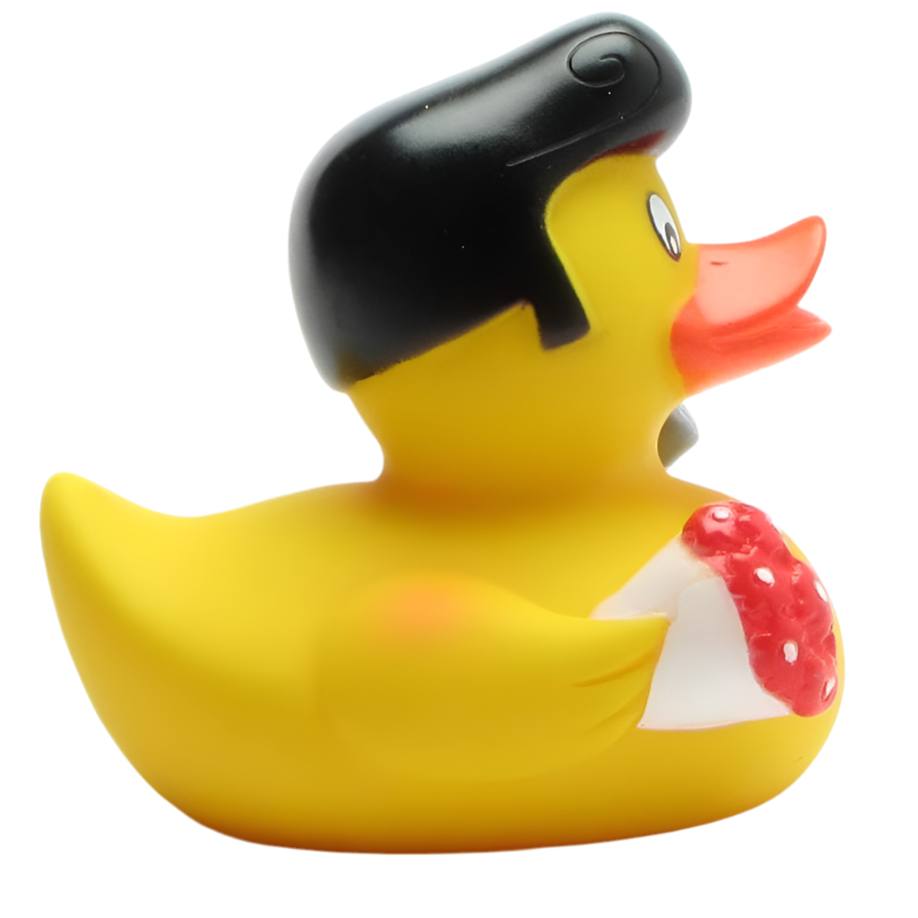 Rock'n'roll Duck