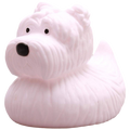 Canard Westie – West Highland White Terrier