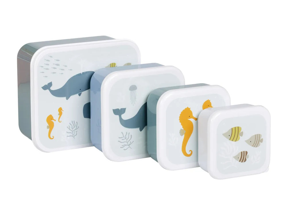 Lot de 4 Boîtes Repas et Goûter - Océan