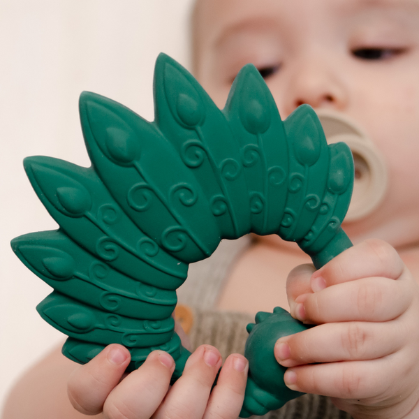 Green peacock dentition ring