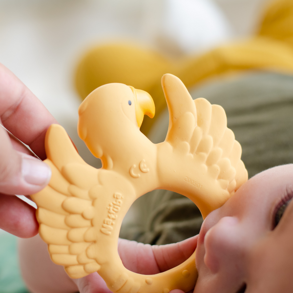 Yellow parrot dentition ring