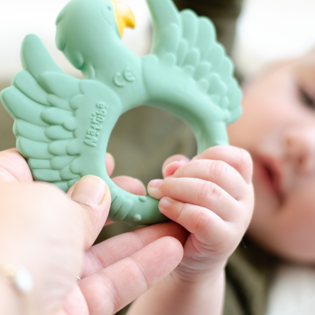 Green parrot dentition ring