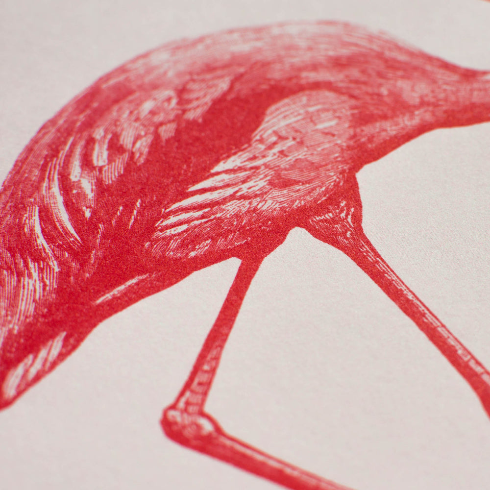 Kunstprint Flamingo