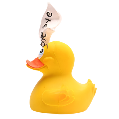 Canard Bye Bye