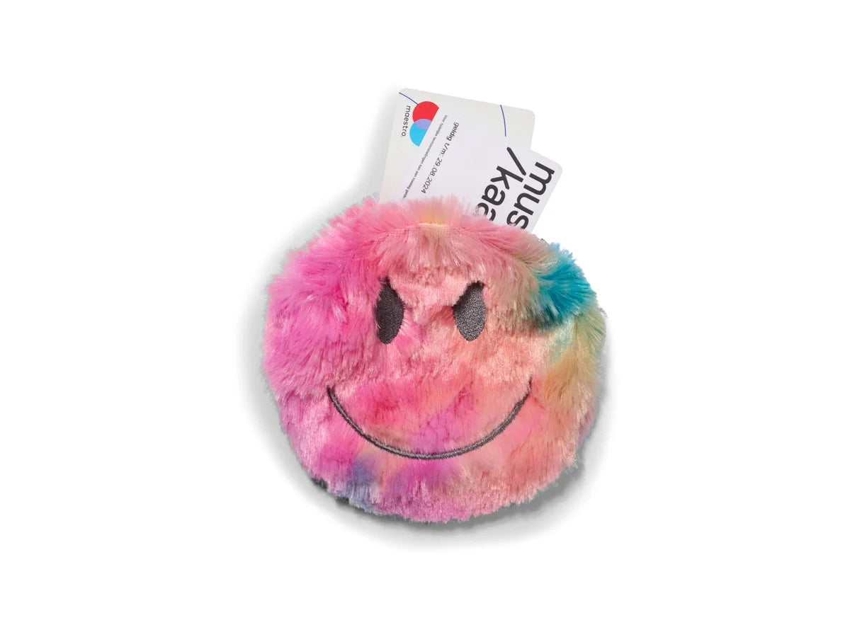 Rainbow Smile Pouch
