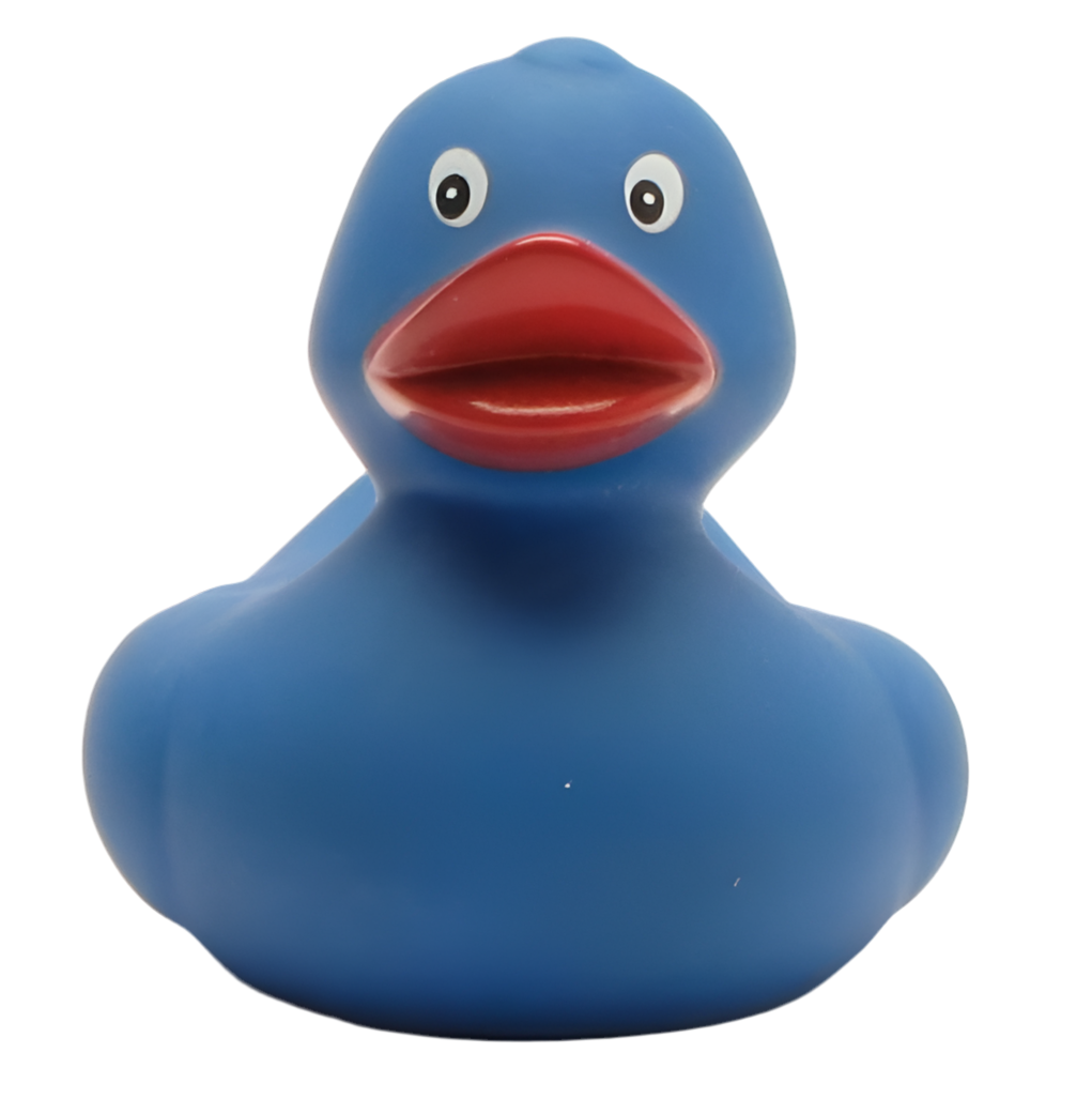 Classic Blue Duck