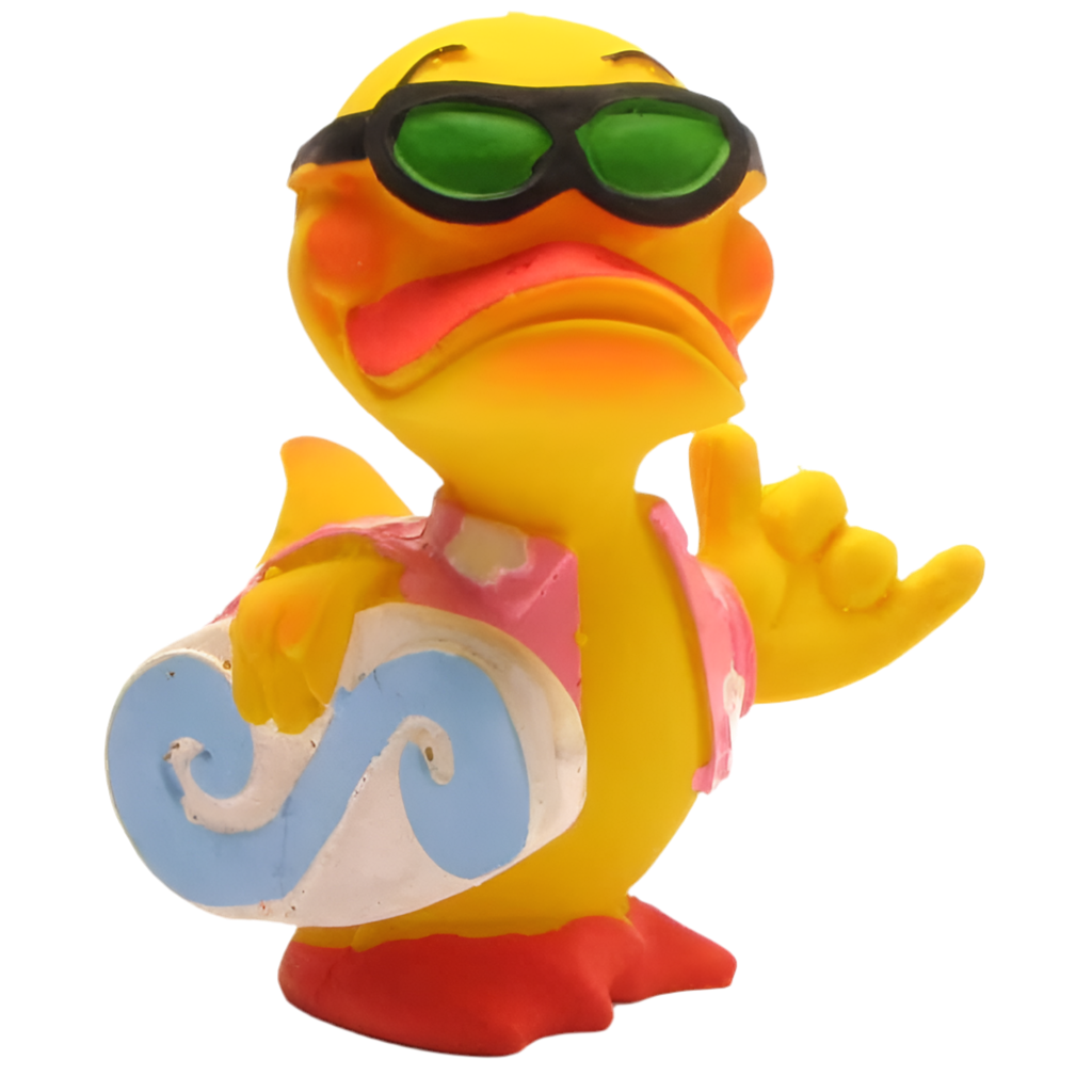 canard surfeur lanco