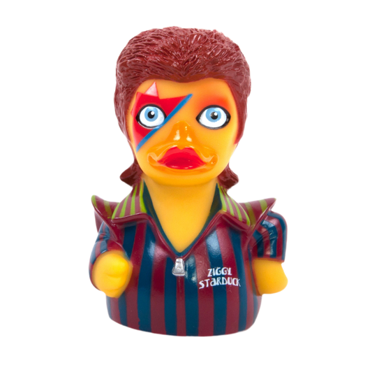 Canard Ziggy Starduck
