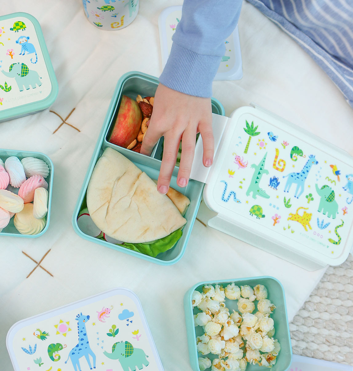 Boîte à déjeuner bento - Jungle