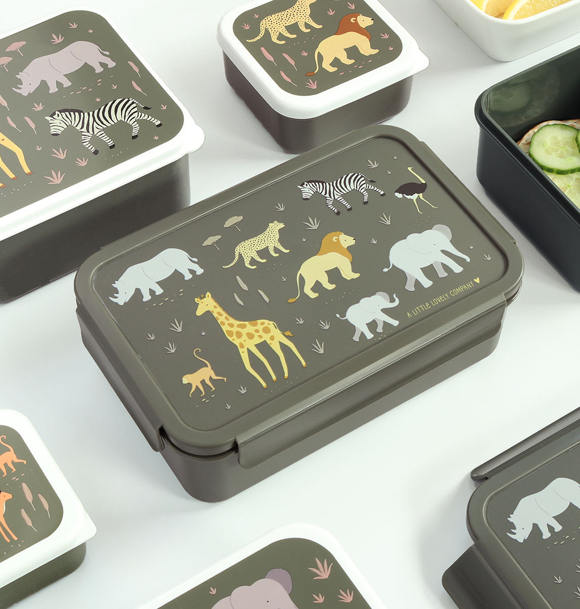 Boîte à déjeuner bento - Savane