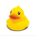 Ente B.Duck