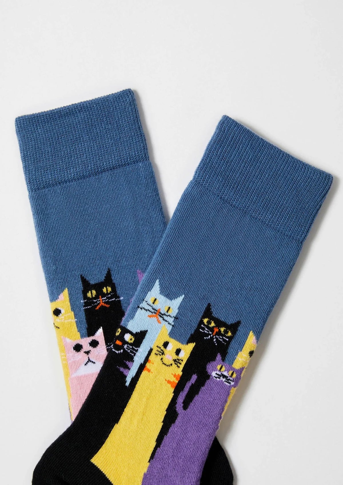 BeCatsGang Socks
