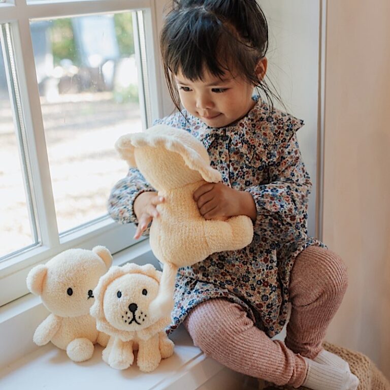 Terry the Lion Plush Toy